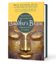BuddhasBrain3DCover-228x280