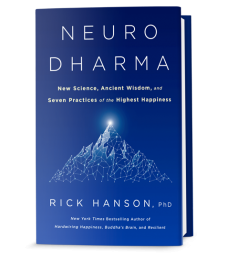 Neurodharma-3d-cover_New-228x280