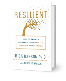 Resilient3DCover-228x280